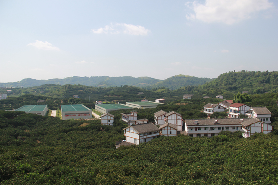 鸟瞰大云山.JPG