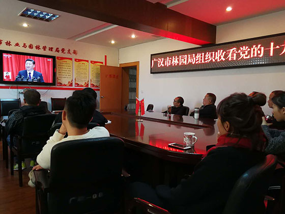 园林局.jpg