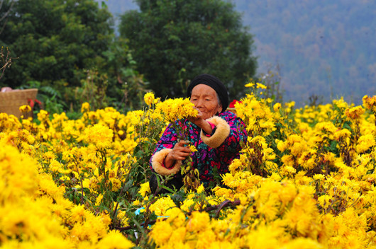 1109_5_副本.jpg
