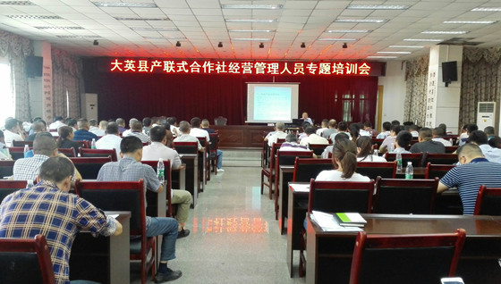总农艺师陈曦在大英县产联社培训班上授课_副本.jpg