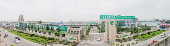 吉香居公司全景图_副本.jpg