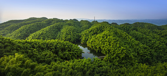 沐川竹海_副本.jpg