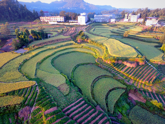 四川巴中田园-陈安岳摄影_副本.jpg