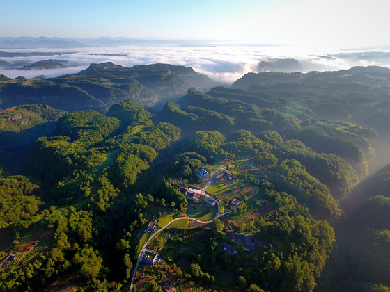 四川巴中田园风光-陈安岳摄影_副本.jpg