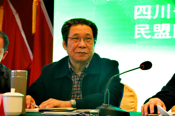 3 中国县镇经济交流促进会副会长、四川省县域经济学会会长张成明致辞_副本.jpg