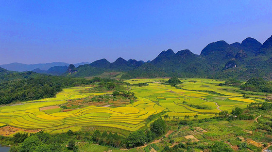 云南美丽乡村_副本.jpg