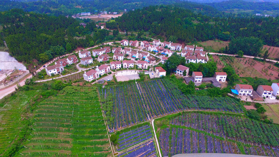 安居区聚贤镇石板凳村新村6500_副本.jpg