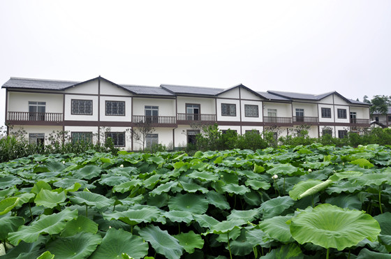 蓬莱镇梓潼新村_副本.jpg