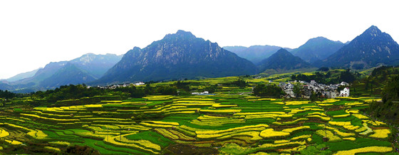 安徽省绩溪县美丽乡村一景_副本.jpg