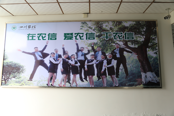 图片3_副本.png