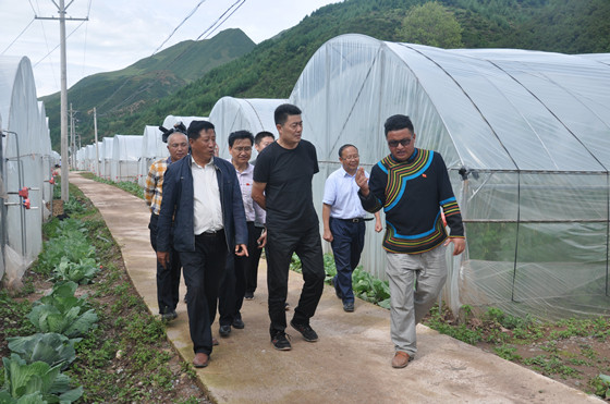 凉山州委书记林书成（前排中）在金阳县丙底乡丙底洛村调研现代农业发展情况DSC_0285_副本.jpg