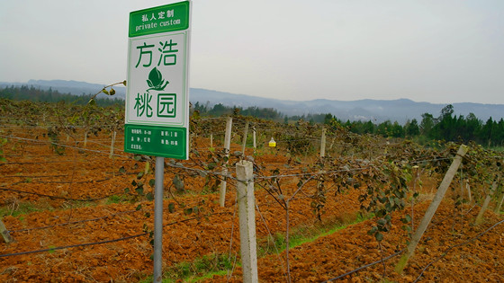 四川省苍溪县南华辉工业生产现场 卢锦根 摄 (2)_副本.jpg