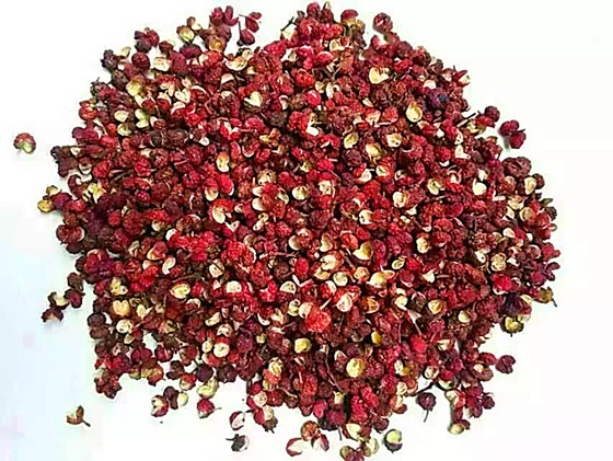 秦汉文献记载花椒叫"蜀椒"原产于四川.jpg