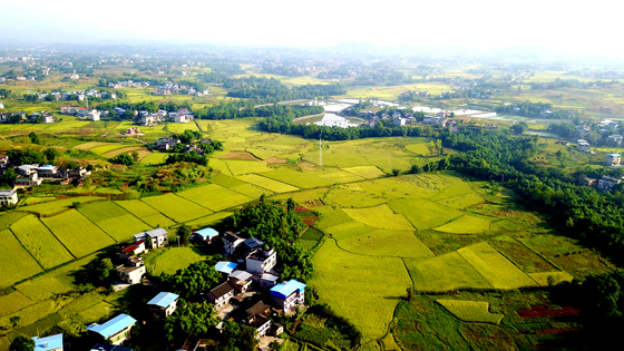 四川华蓥市新民村美丽人居风光　邱海鹰 摄.JPG