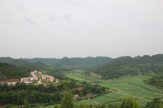 位于遂宁市河沙镇的十里荷画景区.JPG