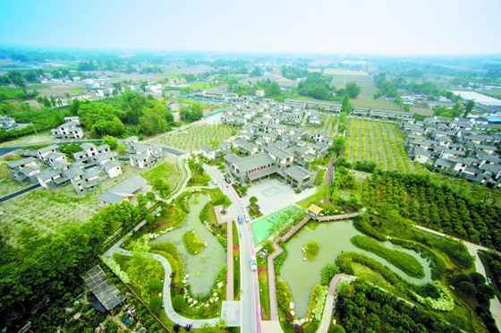 新都电商蔬菜小镇种植基地.jpg