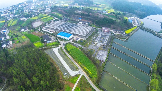 4 剑阁县新农村.jpg