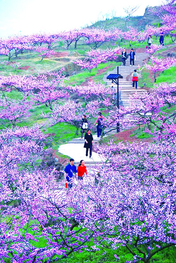 县域乡村旅游园区的健身步道  林婉姝 摄.jpg