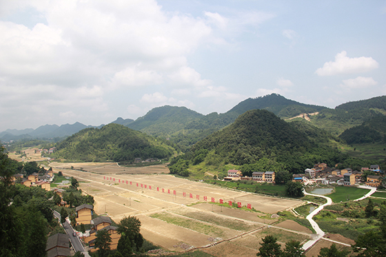 1 邻水县长安乡的“贵人槽”将打造十公里蔬菜产业基地.JPG