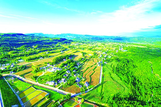 苍溪县白鹤柳池农业园区.jpg