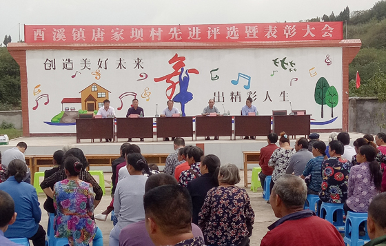 表彰大会现场.jpg