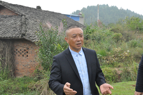 金元镇峦苍柏村村支书陈俊彬向记者介绍集体经济建设情况.JPG