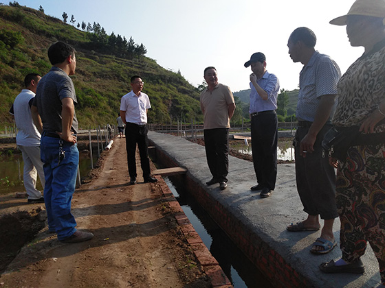 开江县联社负责人考察资助建设的养殖基础设施.jpg