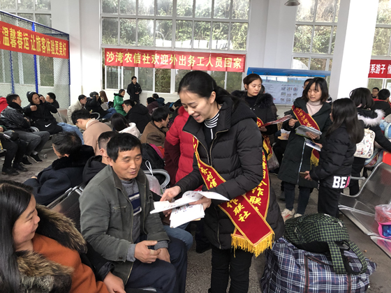 精选3.jpg