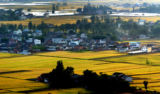 安宁河谷.jpg