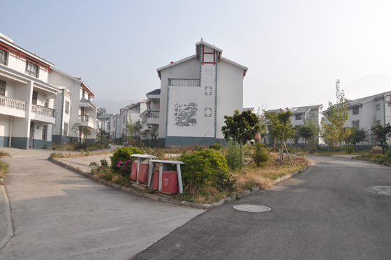 西昌市黄水乡双龙新村别墅式的农民新居  卢锦根 摄.JPG
