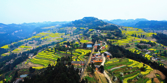 荣县美丽乡村一景.jpg