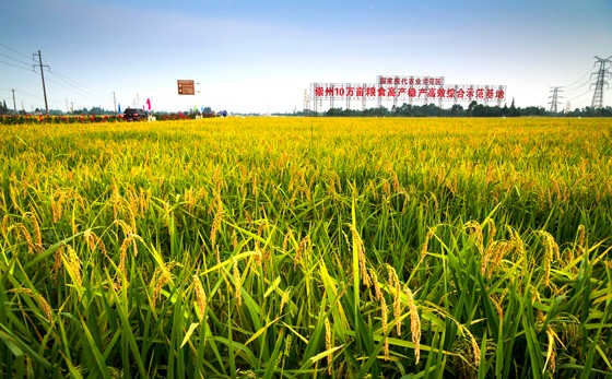 借力大数据产业发展的契机，数字乡村建设在四川崇州市迈出坚实步伐.jpg