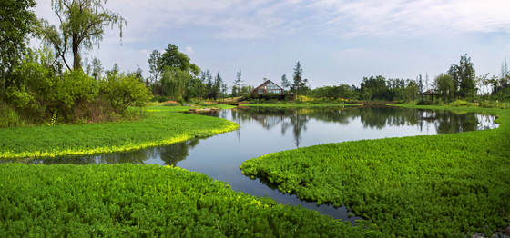 五星村湿地风光1.jpg