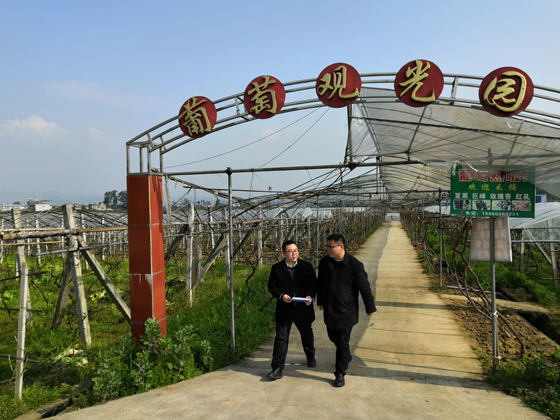 丹棱农商银行客户经理在昊龙家庭农场调研.jpg