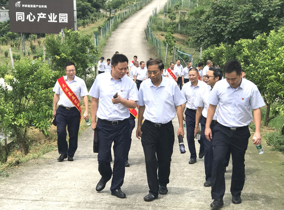 20190705集益果园党课.jpg