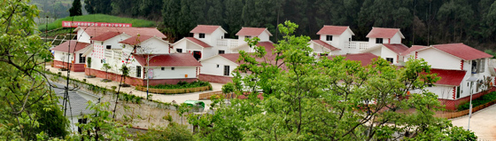 沱牌镇青岗村农民新居.jpg