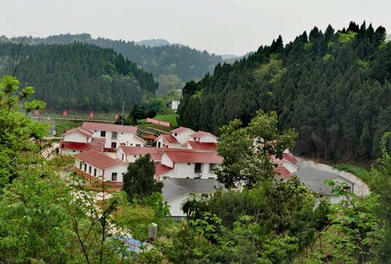 沱牌镇青岗新村一景.jpg