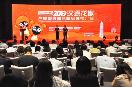 1.会议现场.JPG