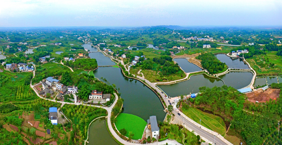四川省 泸州市龙马潭区双加镇“十里渔湾”.jpg