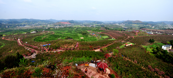 四川金堂县广兴镇樱花园.JPG