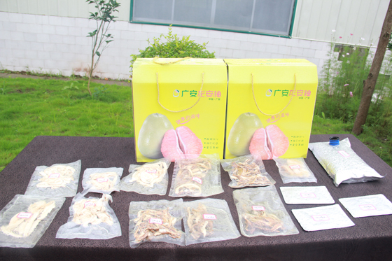 广安柚子深加工系列产品  .JPG
