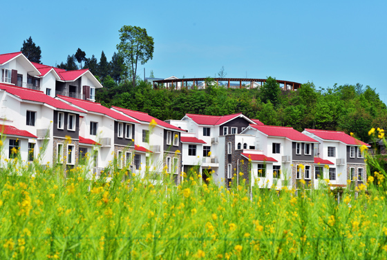 巴中农商银行支持建设的恩阳区高店子村农民新居  夏雨 摄.jpg