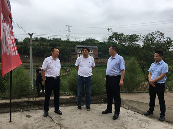 省联社内江办事处党委书记覃才荣了解灾情2.jpg