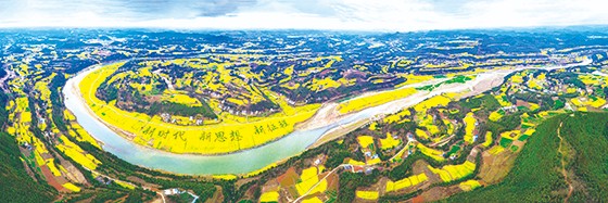 四川省三台县龙树镇第三届大地艺术节盛景.jpg