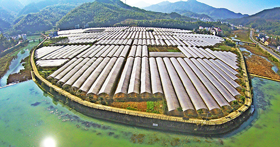 航拍浙江淳安美丽乡村——枫树岭镇下姜村.jpg