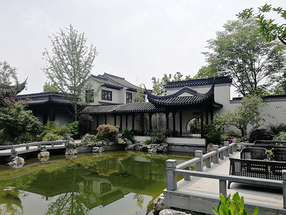 川西音乐林盘一景.png