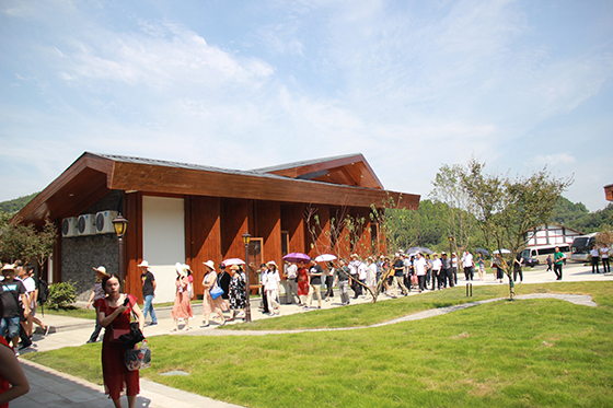 四川西充县发展有机生态经济，农村景观变成旅游景点  周淼葭 摄.JPG