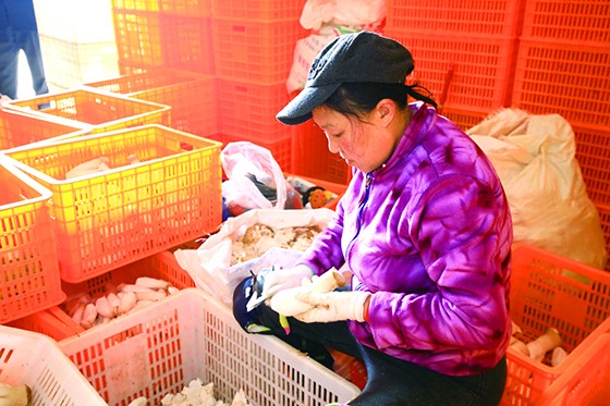 助农惠农服务小微.jpg