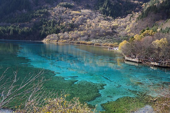 九寨沟风景区.jpg