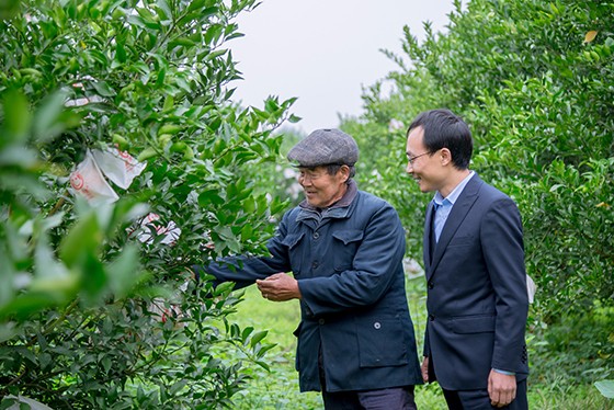 内江农商银行信贷员工深入种植户调查.jpg